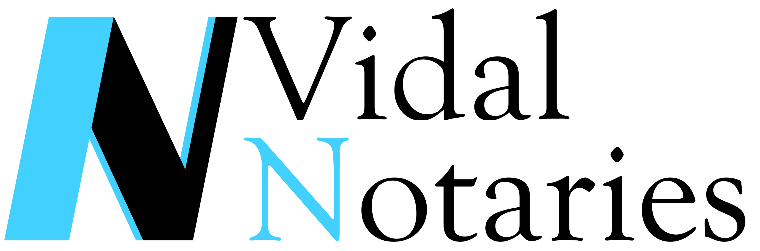 VN, Hi Res Logo, Color, Transparent,3450x1680px, 1200ppi (1) (1)